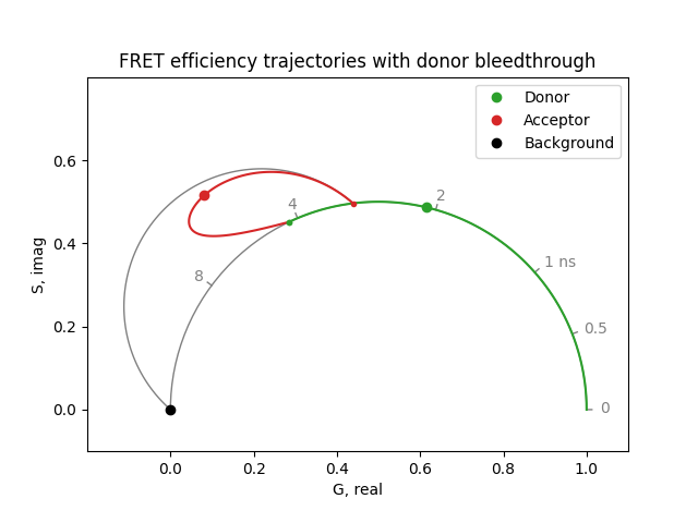 FRET efficiency trajectories with donor bleedthrough