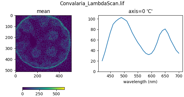 Convalaria_LambdaScan.lif, axis=0 'C', mean