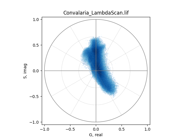 Convalaria_LambdaScan.lif