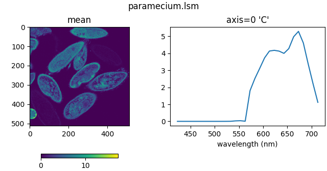 paramecium.lsm, axis=0 'C', mean