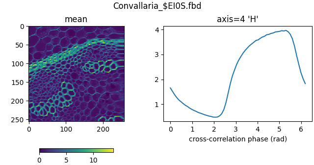 Convallaria_$EI0S.fbd, axis=4 'H', mean