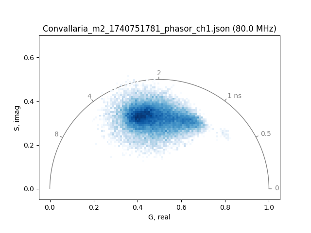 Convallaria_m2_1740751781_phasor_ch1.json (80.0 MHz)