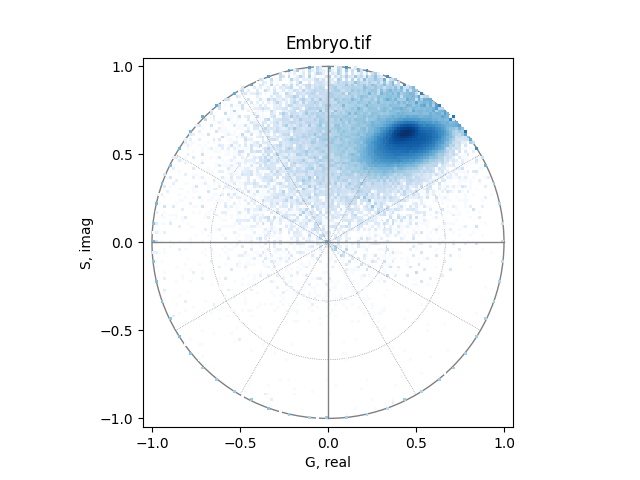 Embryo.tif