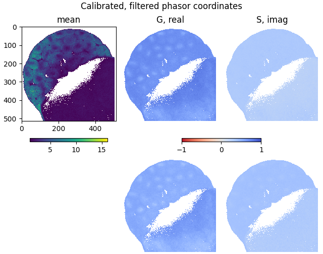 Calibrated, filtered phasor coordinates, mean, G, real, S, imag