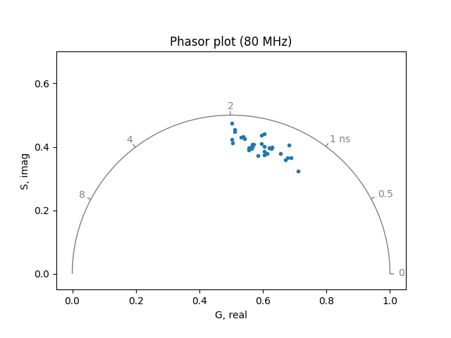 Phasor plot (80 MHz)