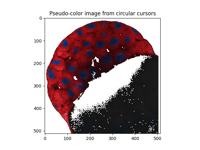 Pseudo-color image from circular cursors