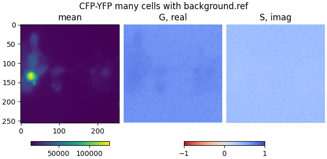 CFP-YFP many cells with background.ref, mean, G, real, S, imag