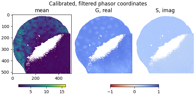 Calibrated, filtered phasor coordinates, mean, G, real, S, imag