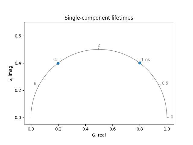 Single-component lifetimes